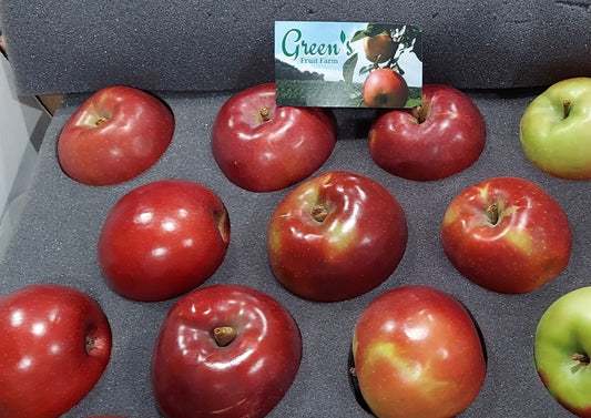 Apple variety sampler